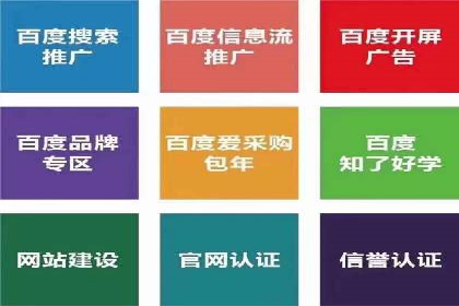 SEM服务公司经典案例集锦